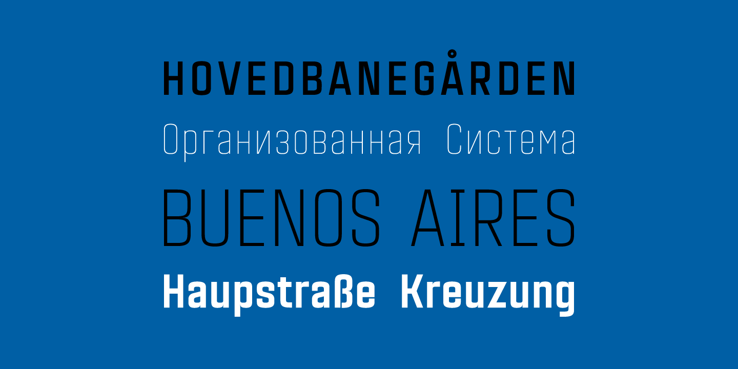 Przykład czcionki Citadina Bold Italic